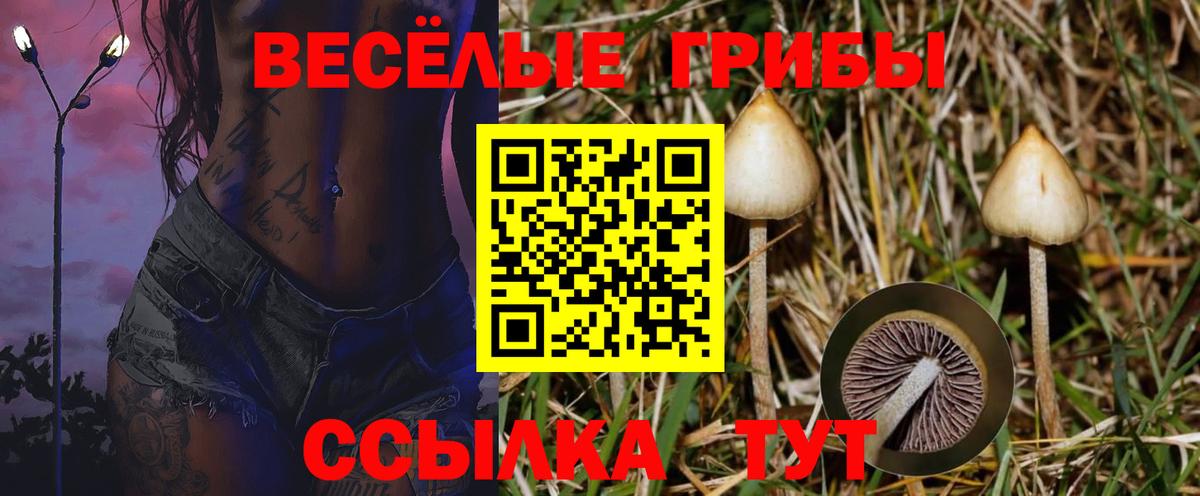 Псилоцибиновые грибы прущие грибы  Галлюциногенные грибы мицелий  Керчь  Вход с VPN 